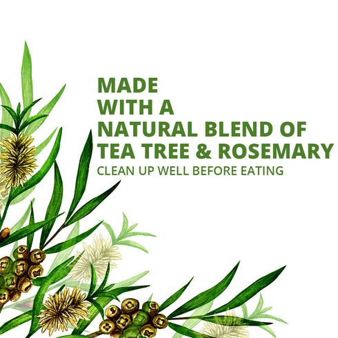 Liquid Hand Wash, Tea Tree & Rosemary - 16.9 fl oz | WBM CARE